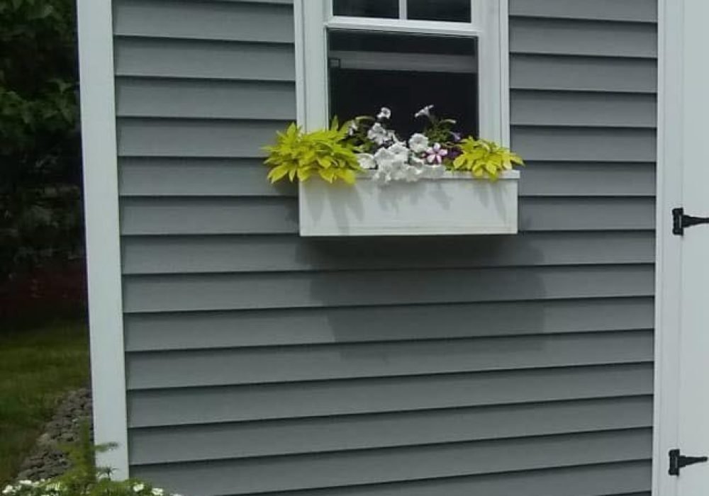 WhatsApp Image 2025-07-29 at 16.29.20