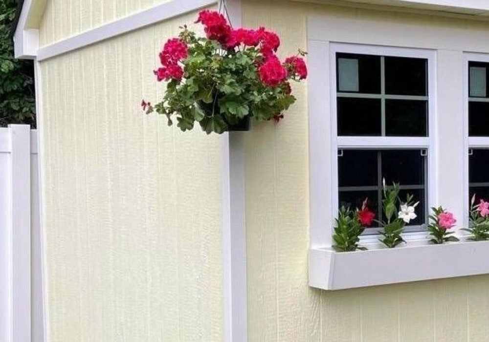 WhatsApp Image 2025-07-30 at 11.59.47