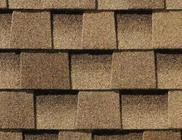 WhatsApp Image 2025-08-07 at 18.43.27