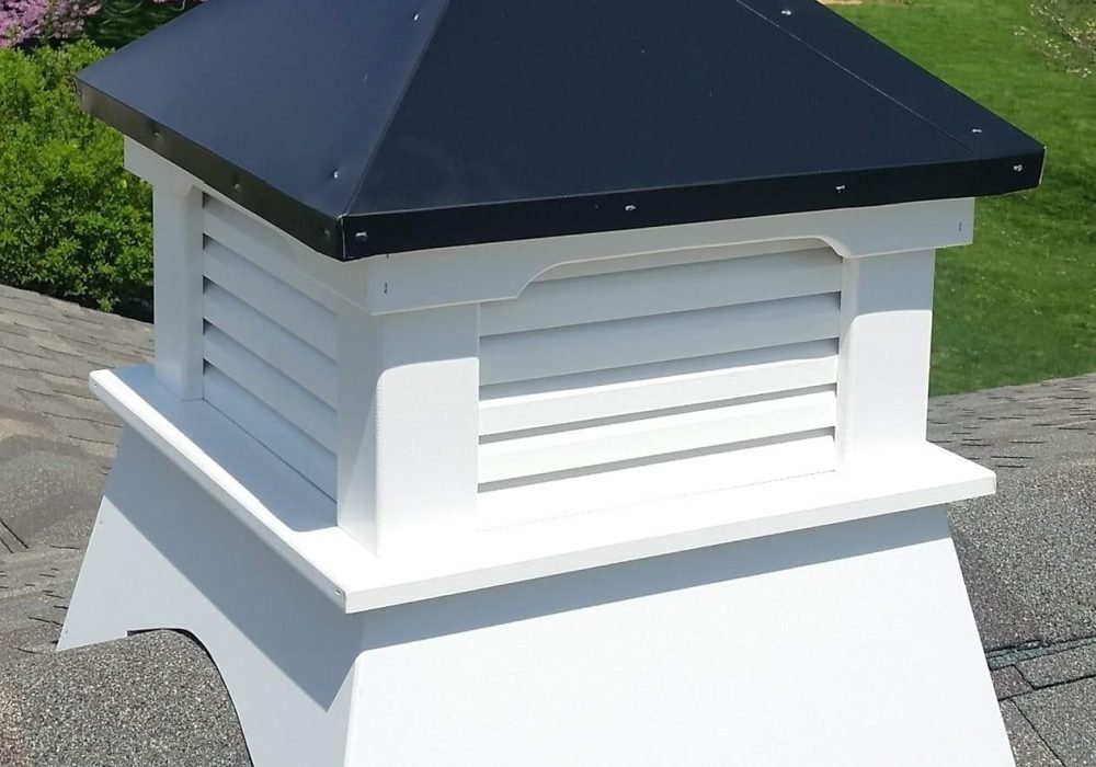 WhatsApp Image 2025-08-20 at 10.56.01 (1)